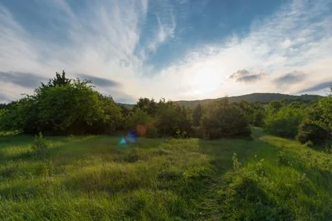 Sunset in forest and blue sky Stock Photos