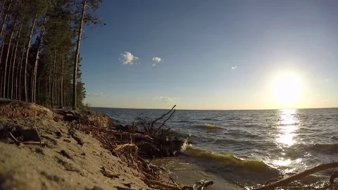 Sunset on a forest beach Stockbeeldmateriaal 79282921