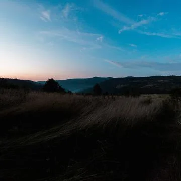 Sunset forest blue sky clouds Stock Photos