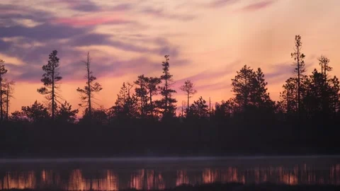 Sunset in the forest in the depth of Siberia Stock Footage 281529463