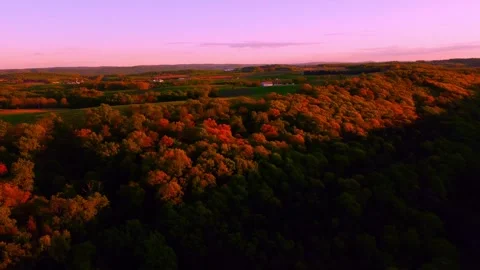 Sunset Forest Diagonal Pan Stock Footage 240518235