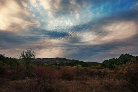 Sunset in the forest with dramatic sky Stock Photos