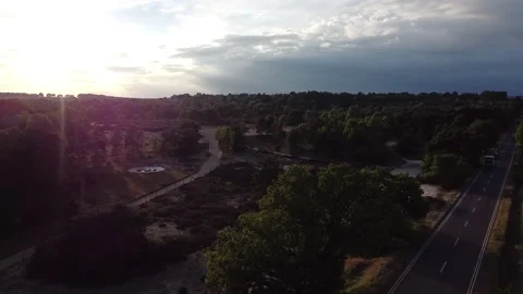 Sunset Forest Drone Aerial Stock Footage