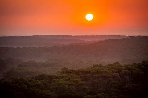 Sunset, Forest from the Dune du Pilat, the biggest sand dune in Europe, Franc Foto stock