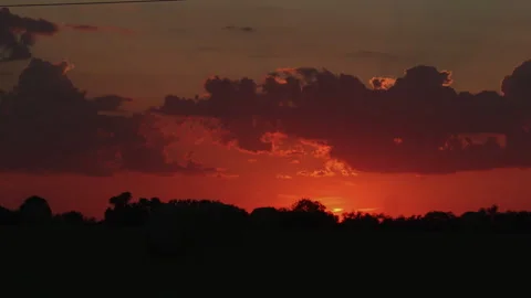 Sunset at forest edge, 4K. Stock Footage 255049356