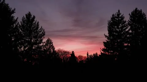 Sunset in the forest fast motion 스톡 동영상 229540302