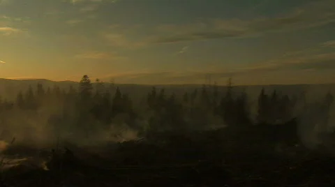 Sunset Forest Fire Stock-Footage 711260