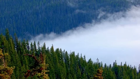 Sunset forest fog clouds Inversion Mt. Hood Oregon Cascades 1 Stock Footage 81902051