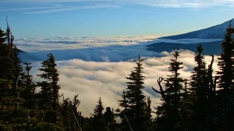 Sunset forest fog flank of mountain timelapse Inversion Mt. Hood Oregon Cascades Stock Footage 81902113