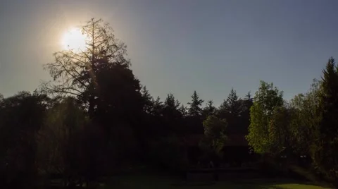 Sunset in the forest Stock Footage 64709904