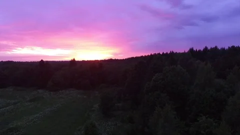 Sunset in the forest Video stock 77453634