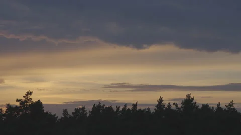 Sunset in the forest. Stock Footage 162735589
