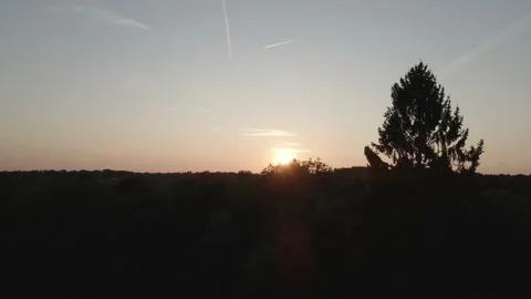 Sunset with Forest Stock Footage 194424235