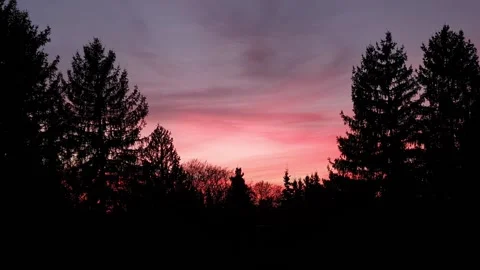 Sunset in the forest 스톡 동영상 229540295