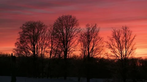 Sunset In The Forest	 Stock Footage 231495079