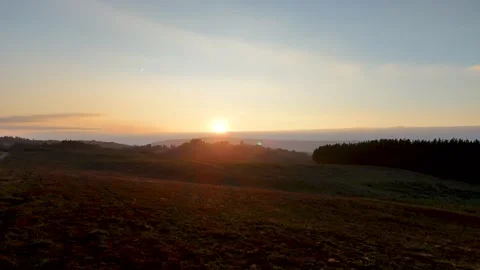 Sunset in the forest Video stock 313272439