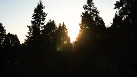 Sunset in the forest of La Marquesa National Park in Mexico (Drone Aerial) Stock Footage 248118846