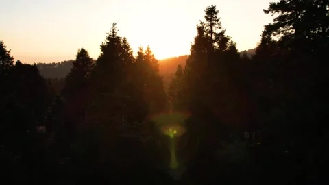 Sunset in the forest of La Marquesa National Park in Mexico (Drone Aerial) Stock Footage 248169842