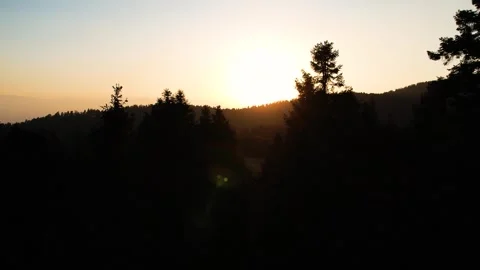 Sunset in the forest of La Marquesa National Park in Mexico (Drone Aerial) Stock Footage 248170181