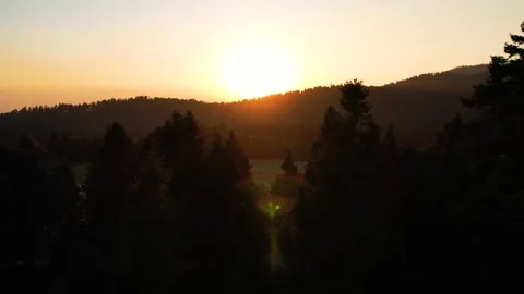 Sunset in the forest of La Marquesa National Park in Mexico (Drone Aerial) Stock Footage 248171005