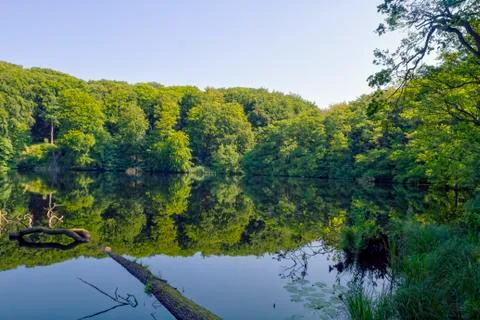 Sunset on forest lake Stock Photos
