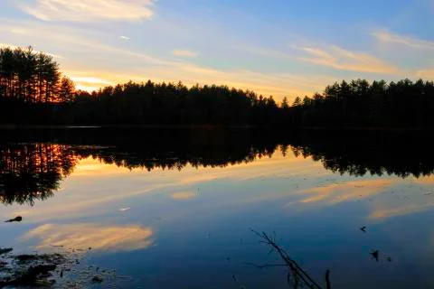 Sunset on a forest lake. Stock Photos