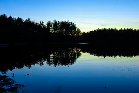 Sunset on a forest lake. Stock Photos
