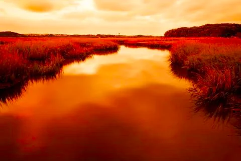 Sunset on a forest lake. Stock Photos