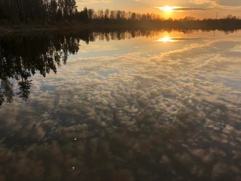 Sunset in the Forest Lake Stock Photos