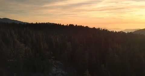 Sunset Forest Mountains Video stock 95968114
