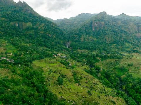 Sunset Forest Peaks Stock Photos