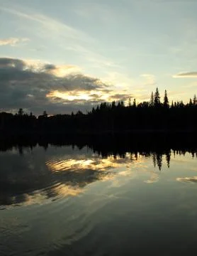 Sunset forest Stock Photos