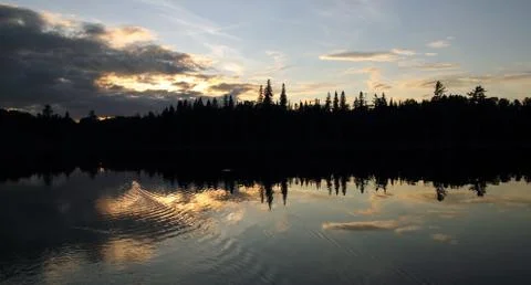 Sunset forest Foto stock