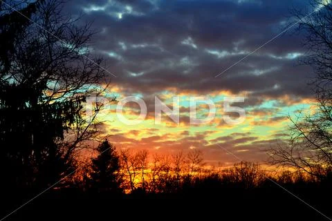 Sunset Forest Stock Photos