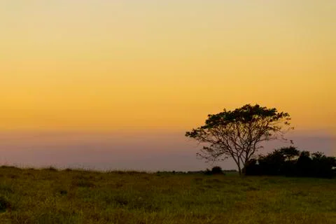 Sunset in the forest Stock Photos