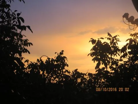 Sunset in the forest Stock Photos