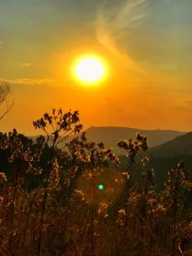 Sunset in the forest Foto stock