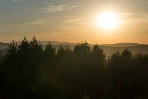 Sunset in the forest Stock Photos