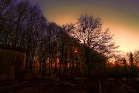 Sunset in the forest Stock Photos