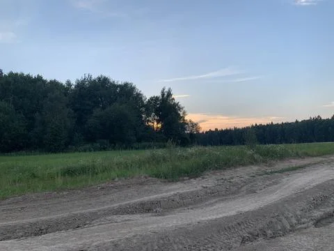 Sunset in forest Foto stock