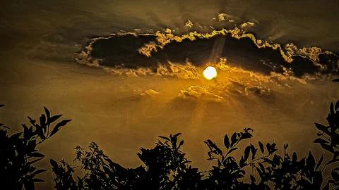Sunset in the forest Stock Photos