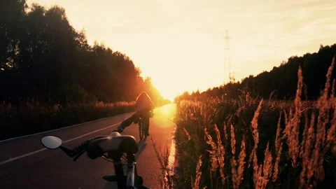 Sunset Forest Road in Golden Rays Stock Footage 155298385