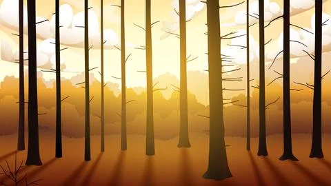 Sunset in The Forest, Shadowed Tree Trunk, Vector Wallpaper, Vector Illustr.. Stock Illustration