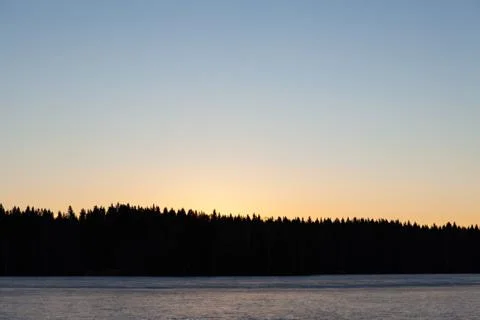 Sunset forest silhouette Stock Photos