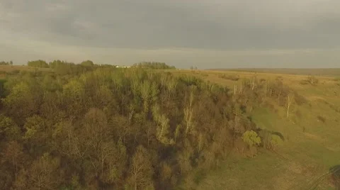 Sunset forest in spring Aerial shot Видео 69068958