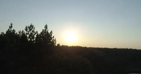 Sunset forest. The sun's rays through the branches. Aerial view Stock Photos