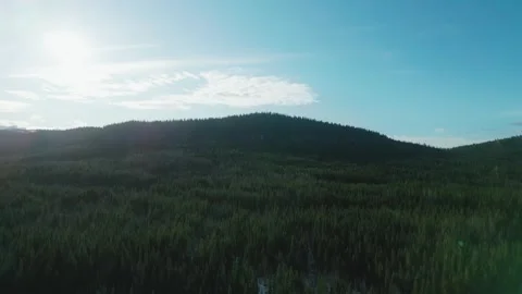 Sunset in forest sweden Stock Footage 244447291