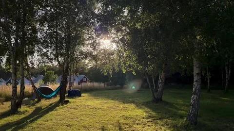 Sunset in the forest with tents Stockbeeldmateriaal 279398017