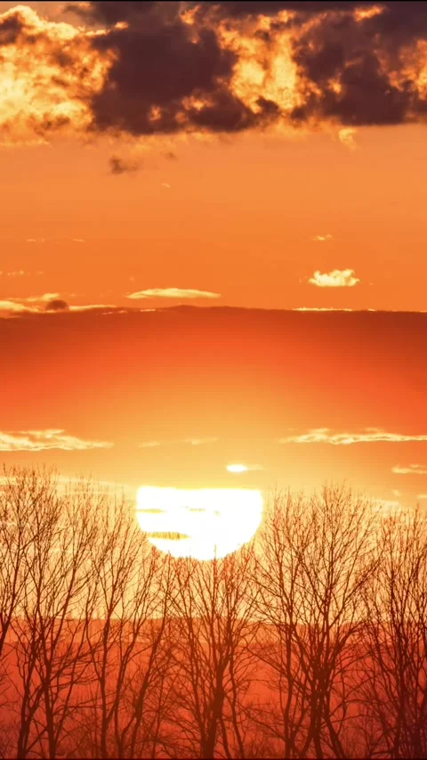 Sunset in the forest time lapse Stock Footage 293157465