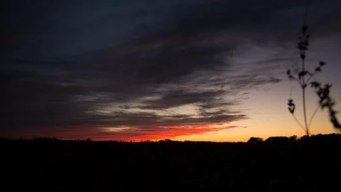 Sunset Forest TimeLapse Stock Footage 92094120